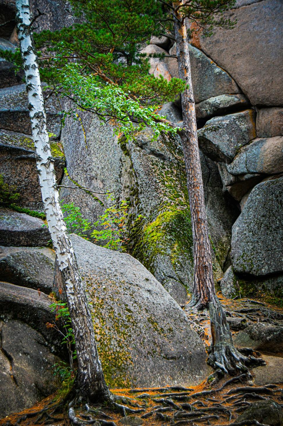 Nordic Spa Experience